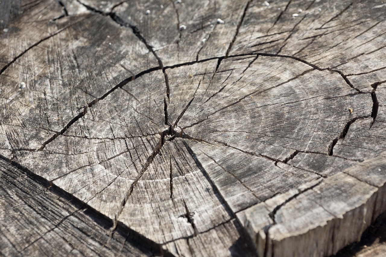 Stump Krydsord