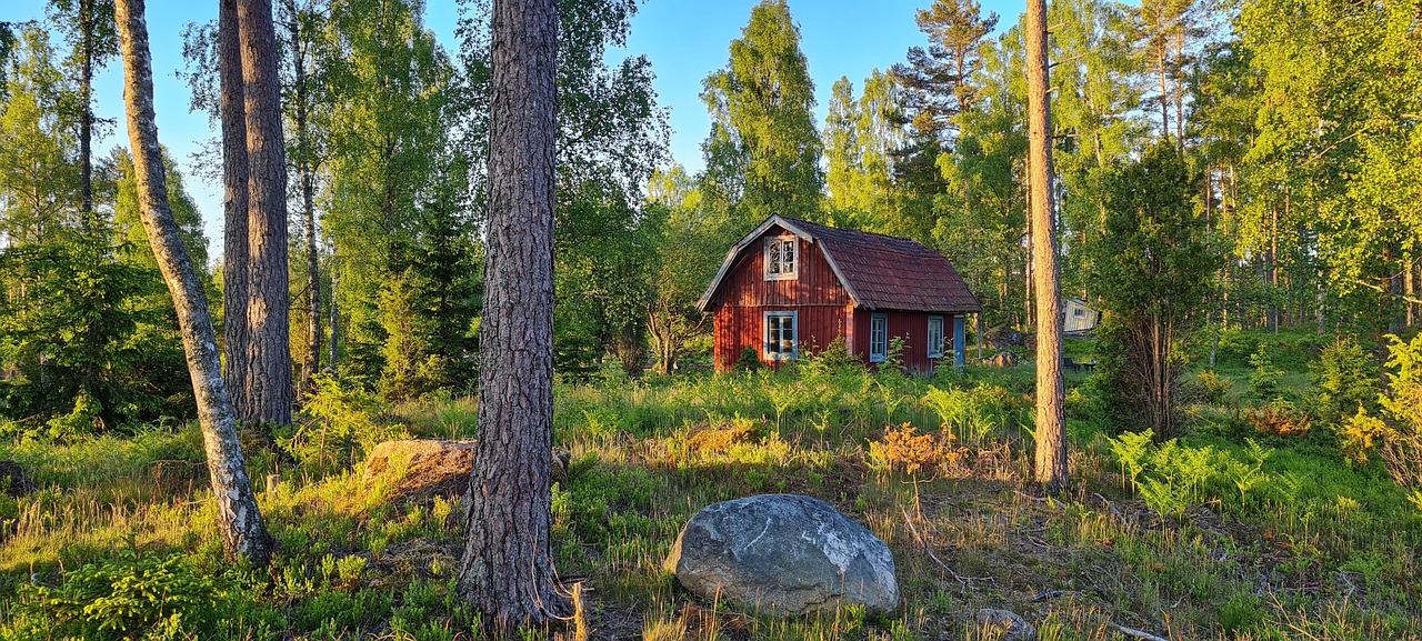Svensk ø Krydsord