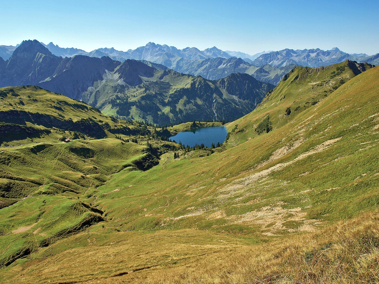 Tågehorn Krydsord