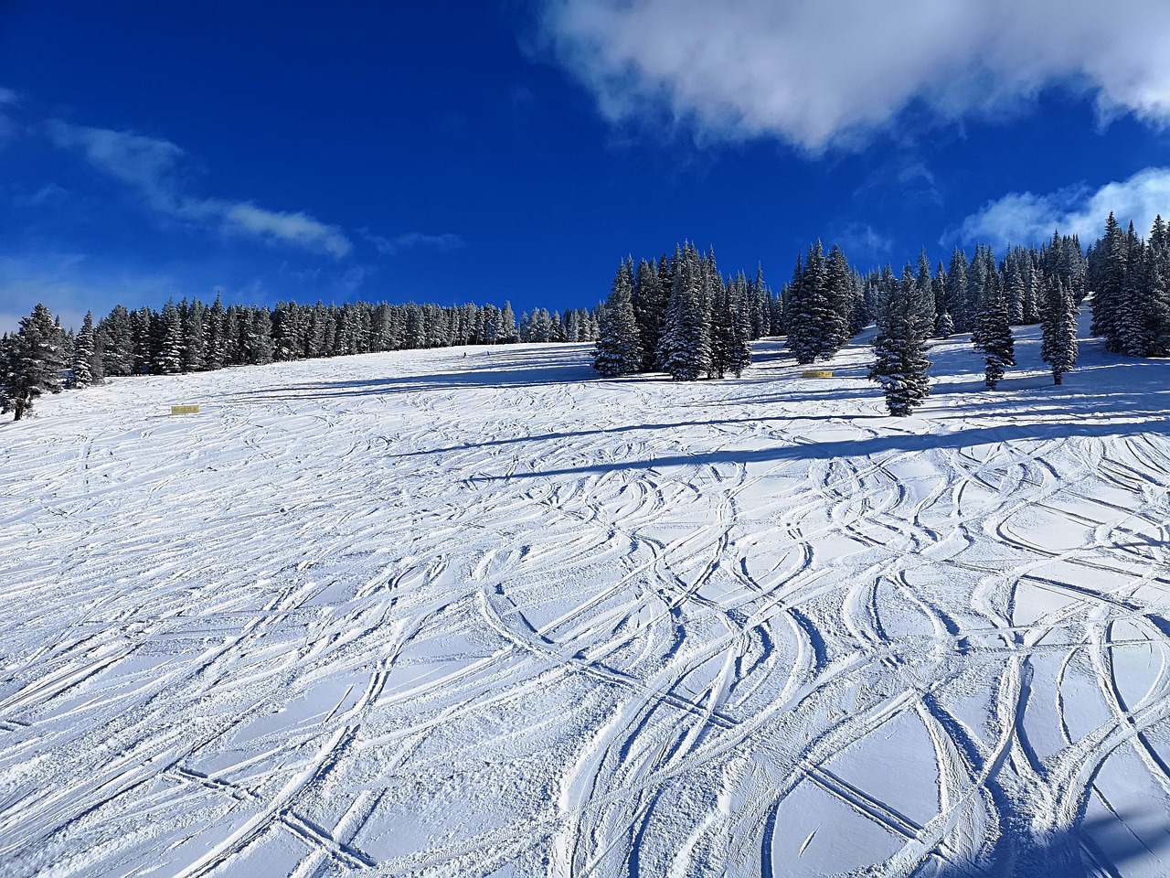 Skisportssted Krydsord