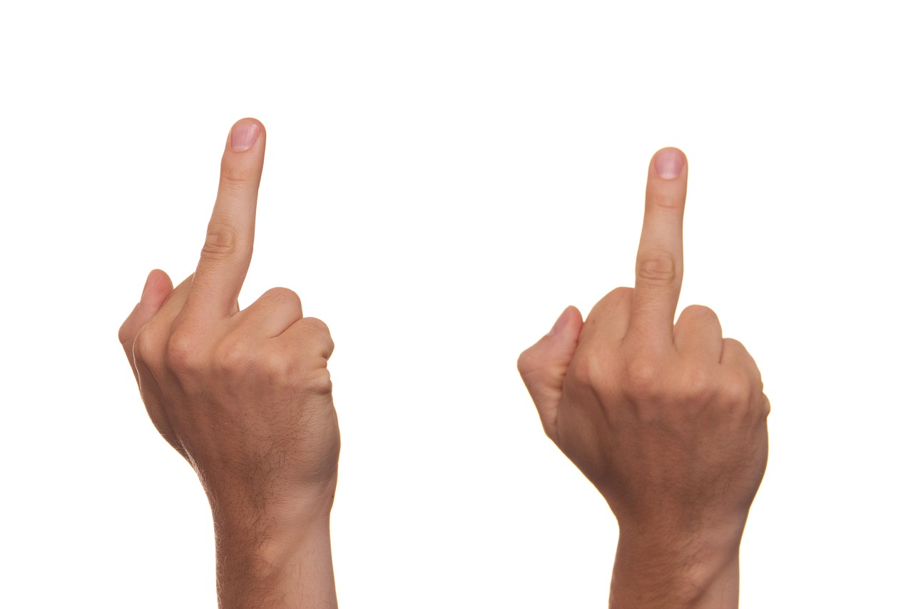 Anstødelig Krydsord