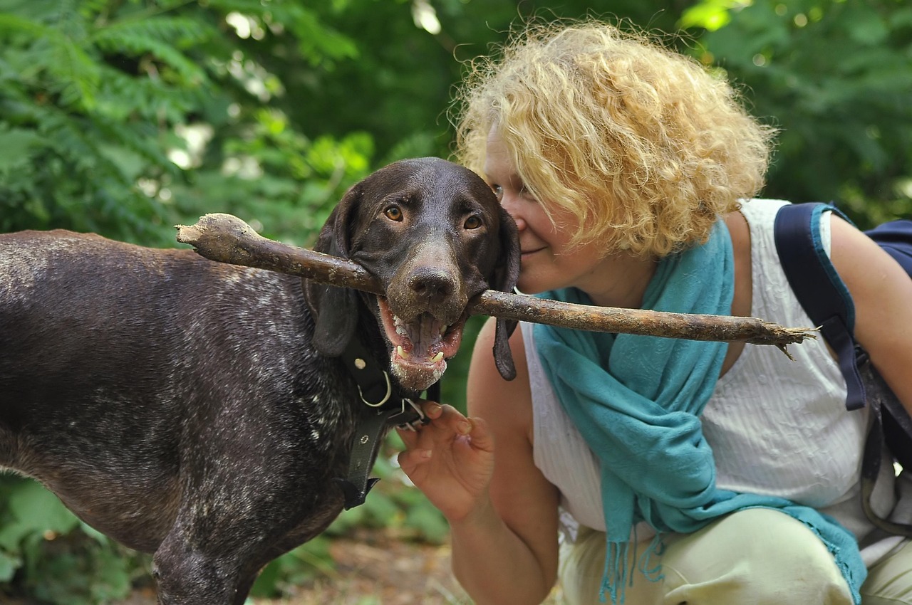 Hønsehund Krydsord