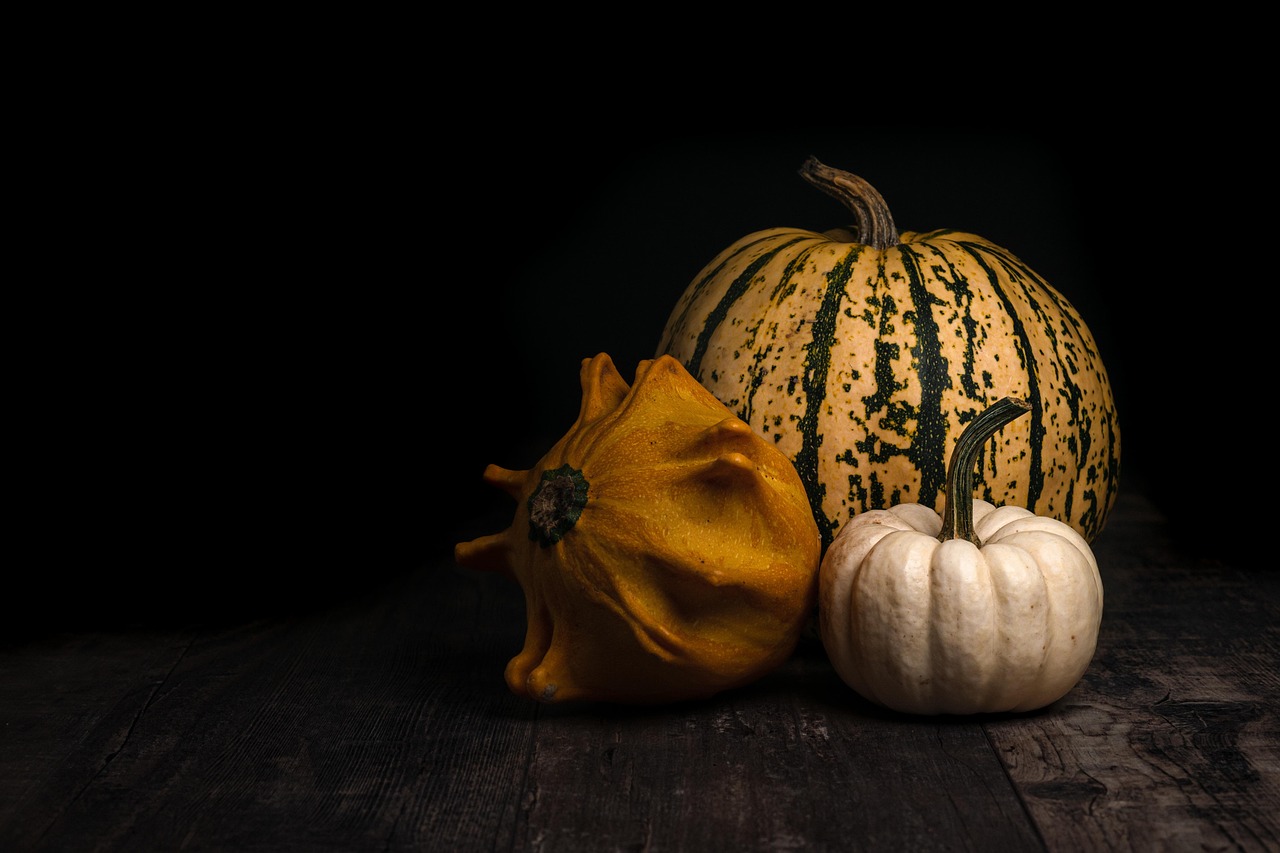 Squash Krydsord