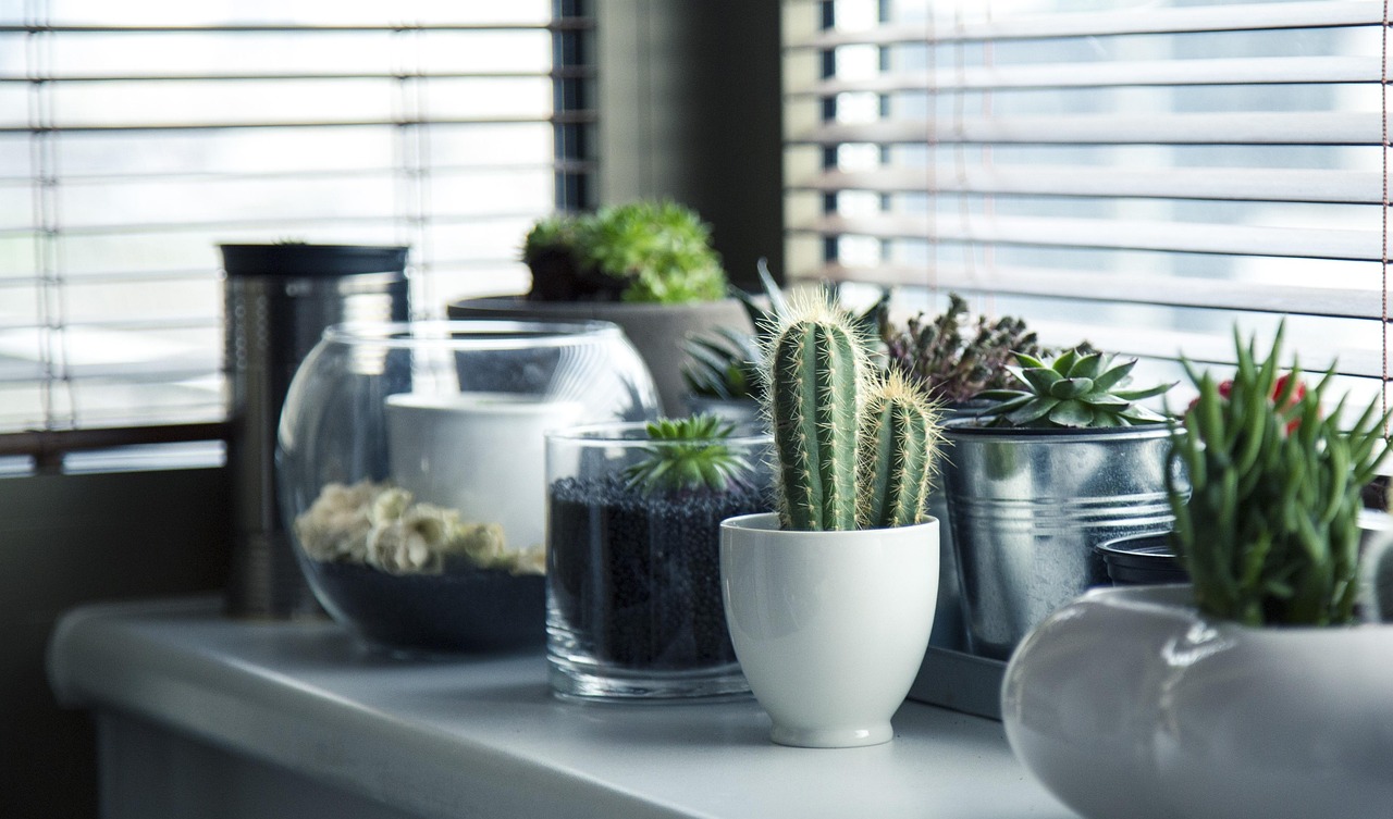 Planter Krydsord