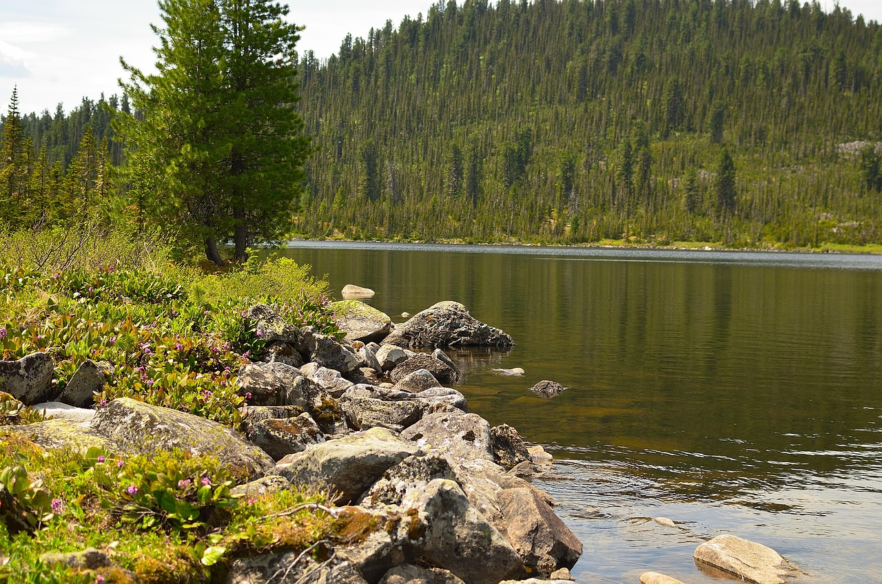 Flod i sibirien Krydsord