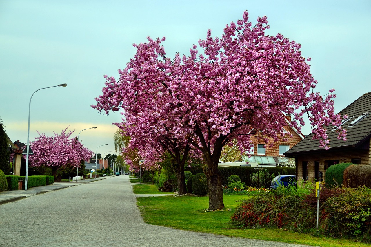 Forstad Krydsord
