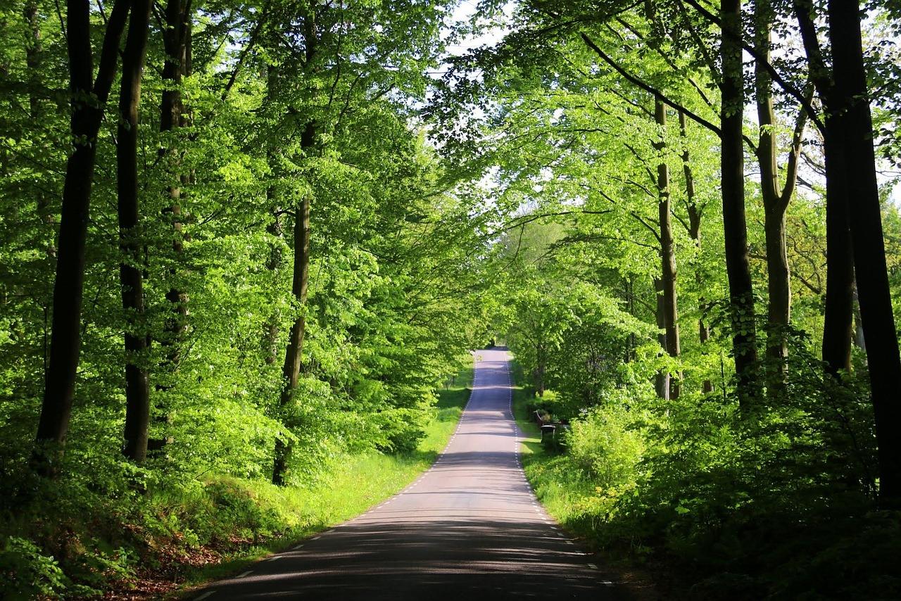 By i skåne Krydsord