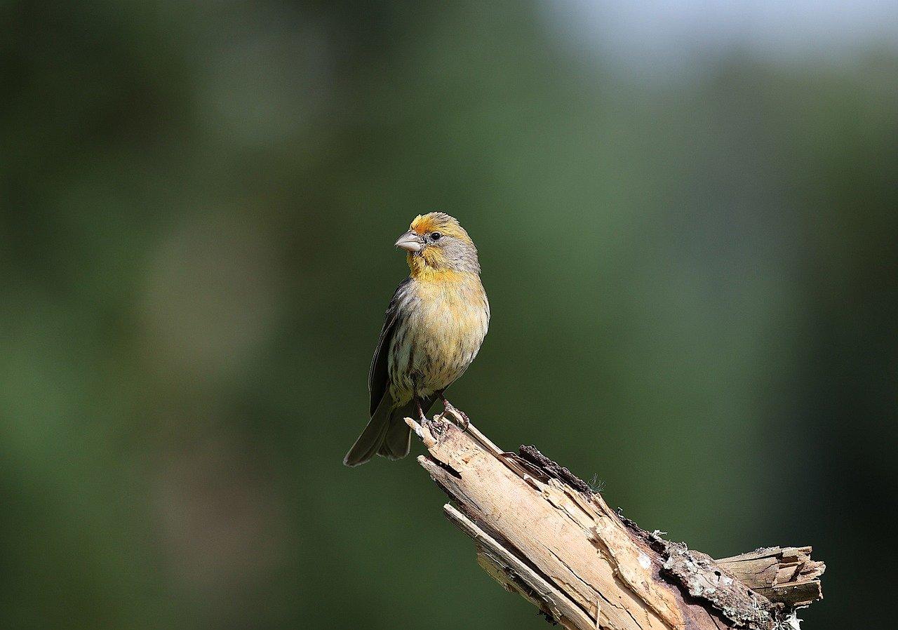 PÃ¥passelig Krydsord