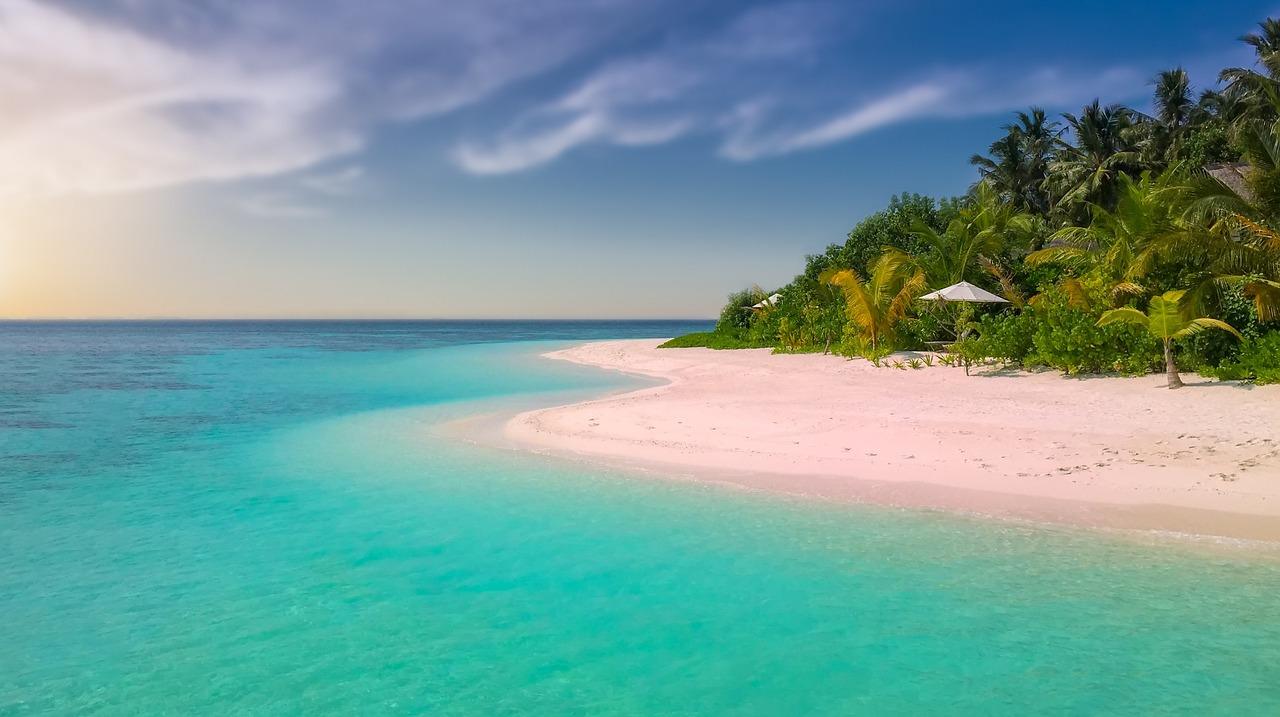 Paradiset Krydsord