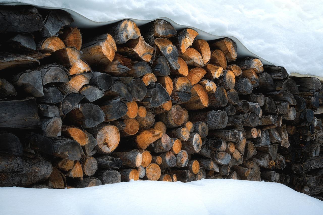 Filmstjerne Krydsord