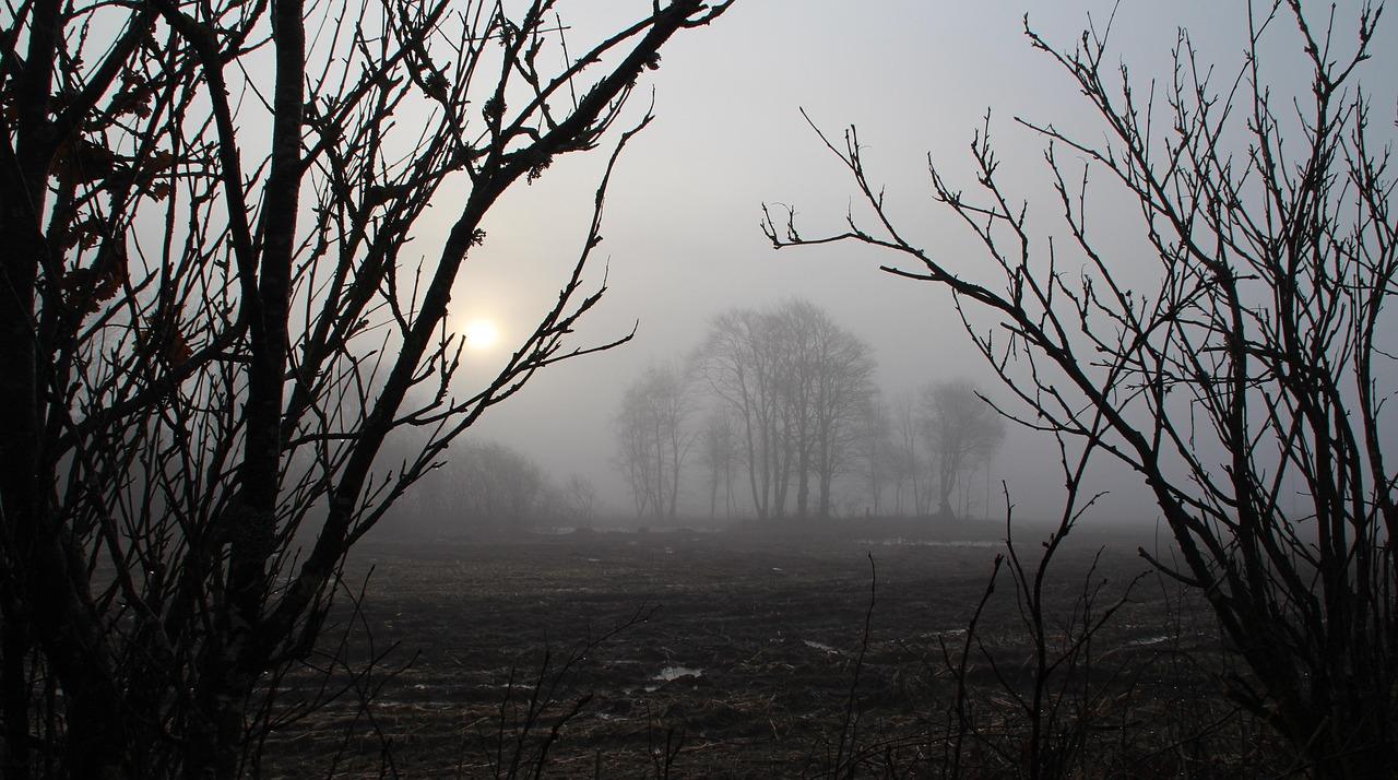 MorgenrÃ¸de Krydsord