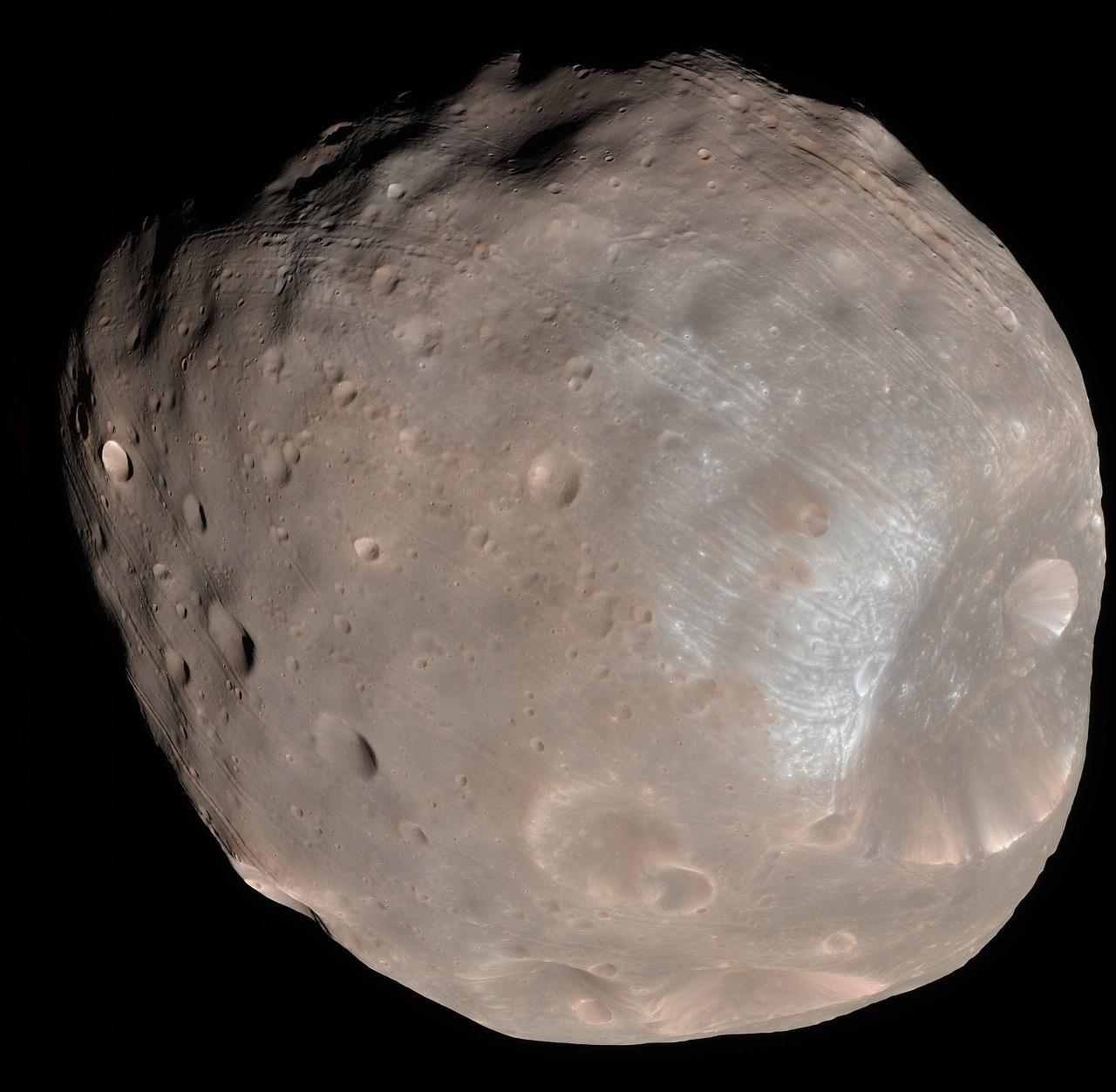 Mars Krydsord