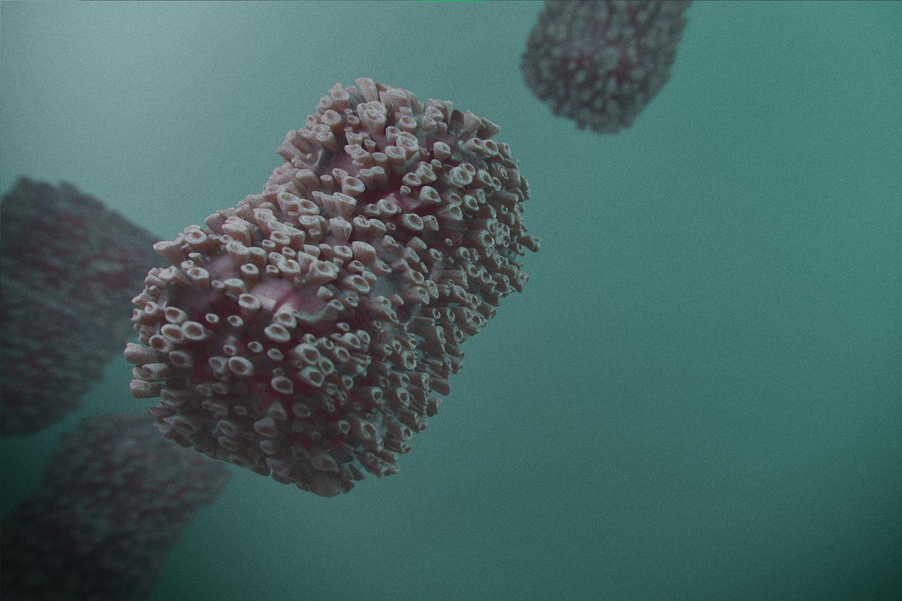 Virus Krydsord