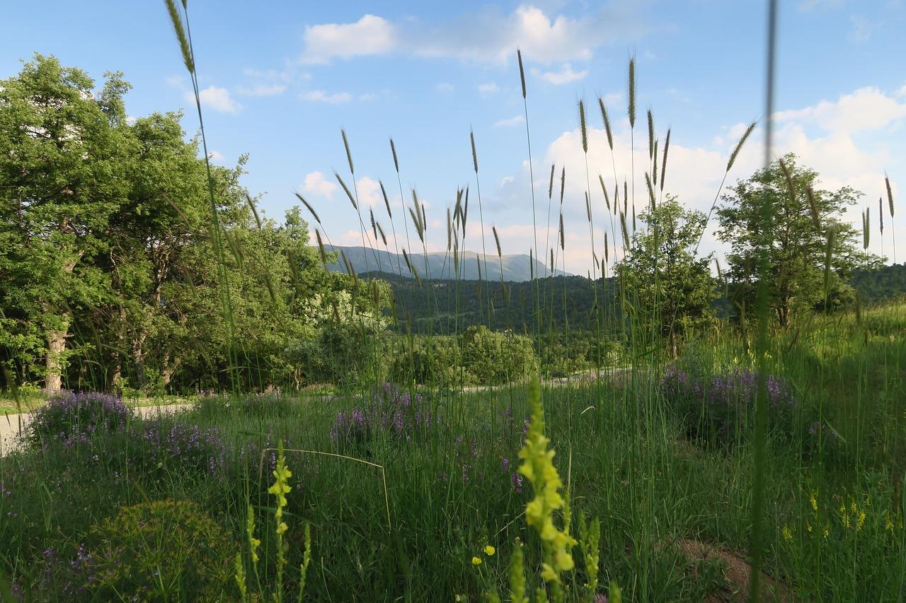 Net adresse Krydsord