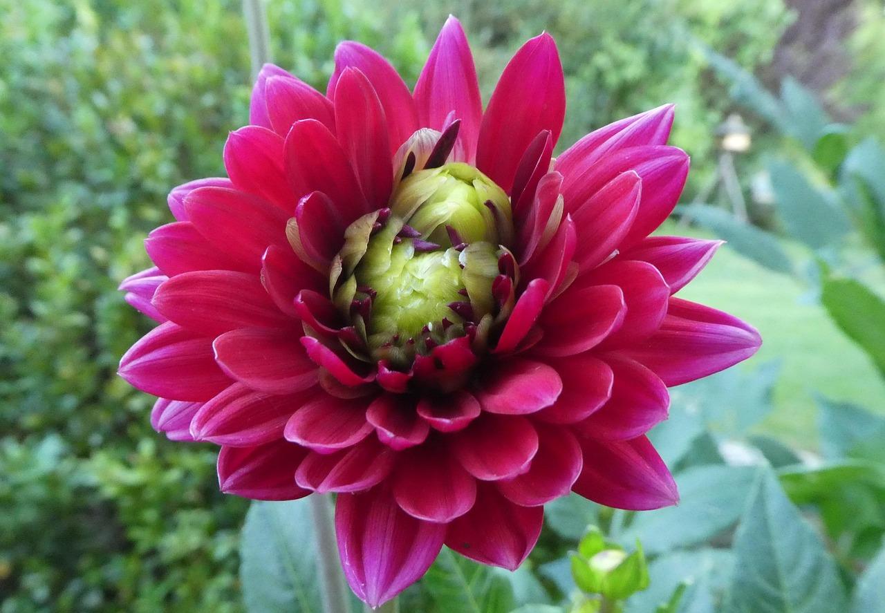 By i sydkorea Krydsord