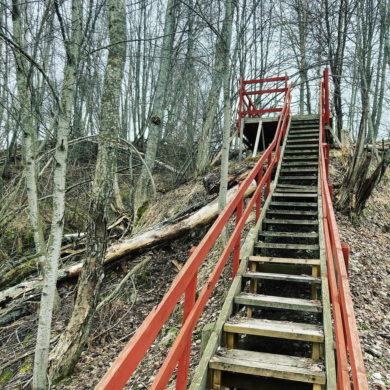 Rockmusical Krydsord