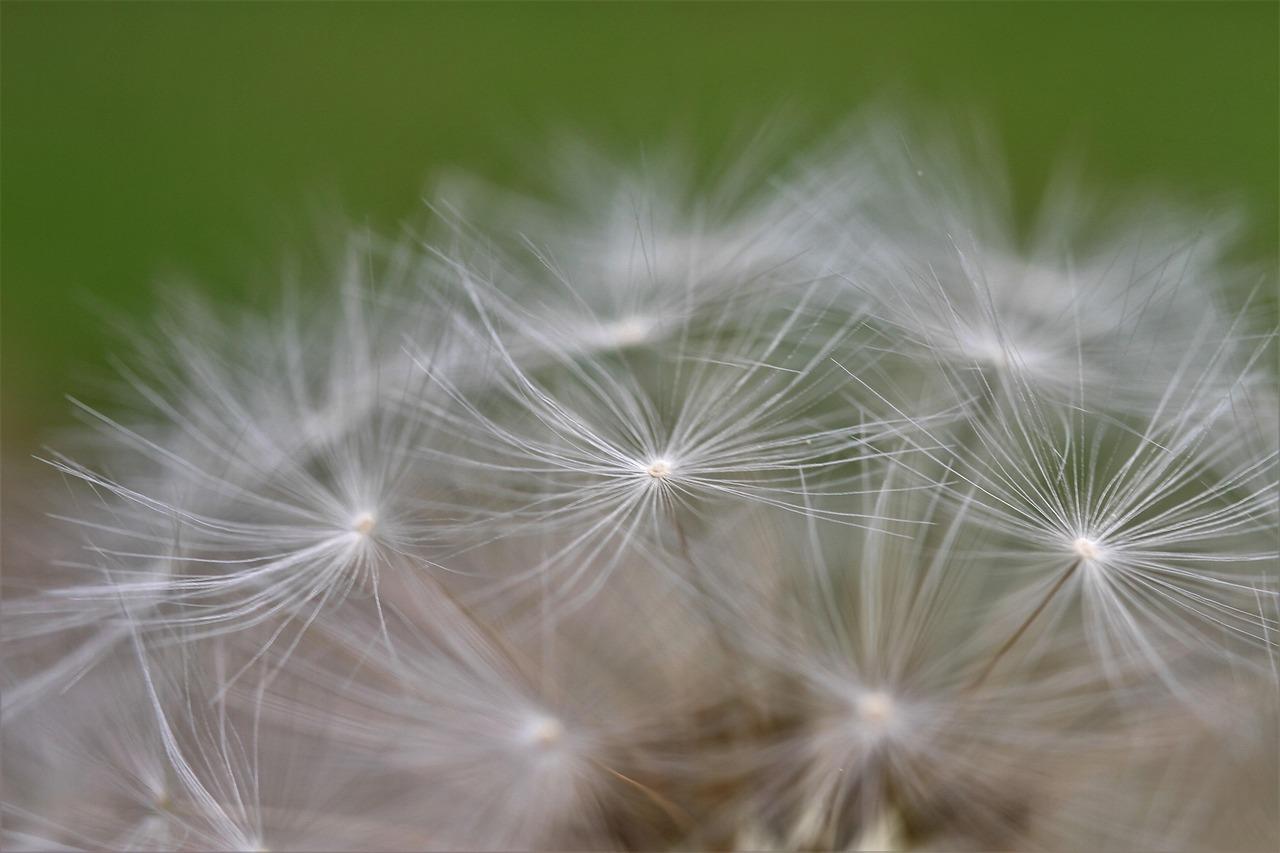 Almindelige Krydsord