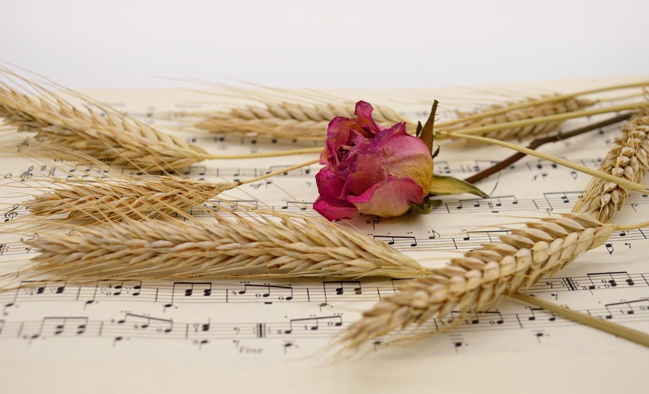 Sangskriver Krydsord