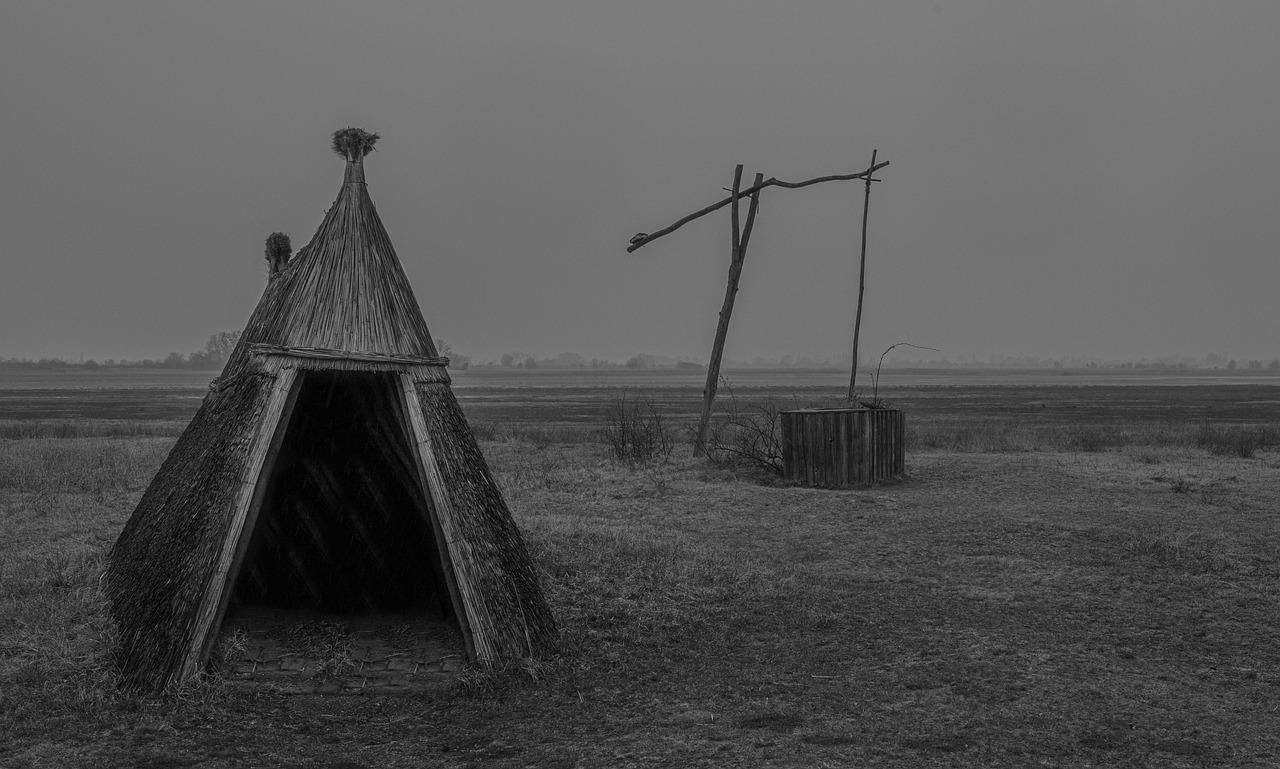 Græssteppe Krydsord