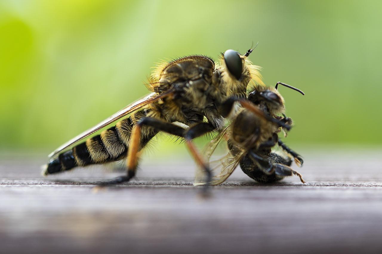 Gratis synonym Krydsord