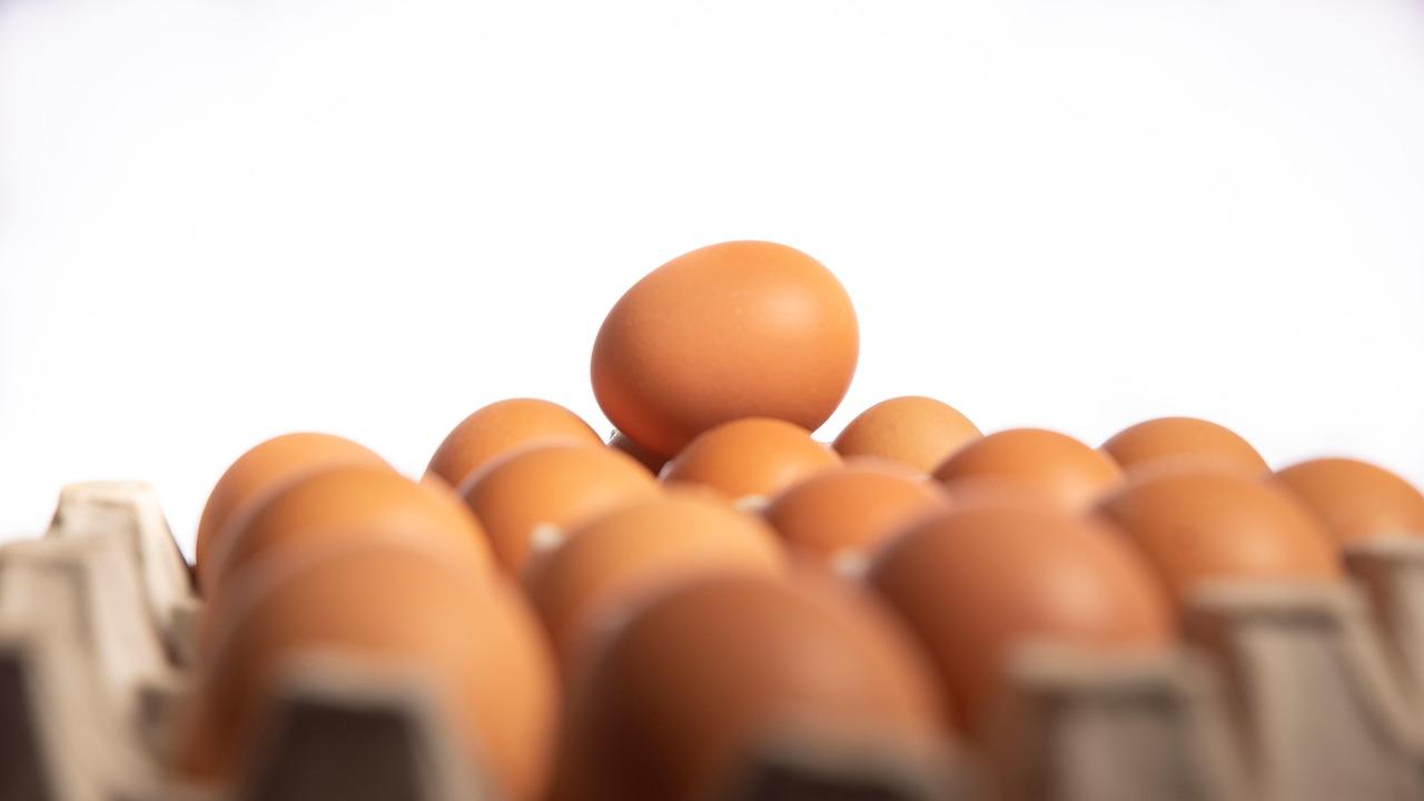 Biprodukt Krydsord