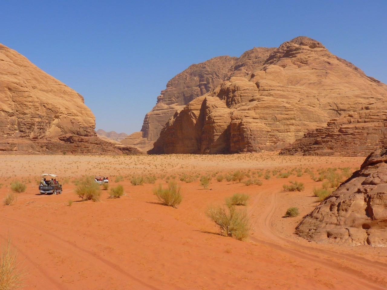 Negev Krydsord