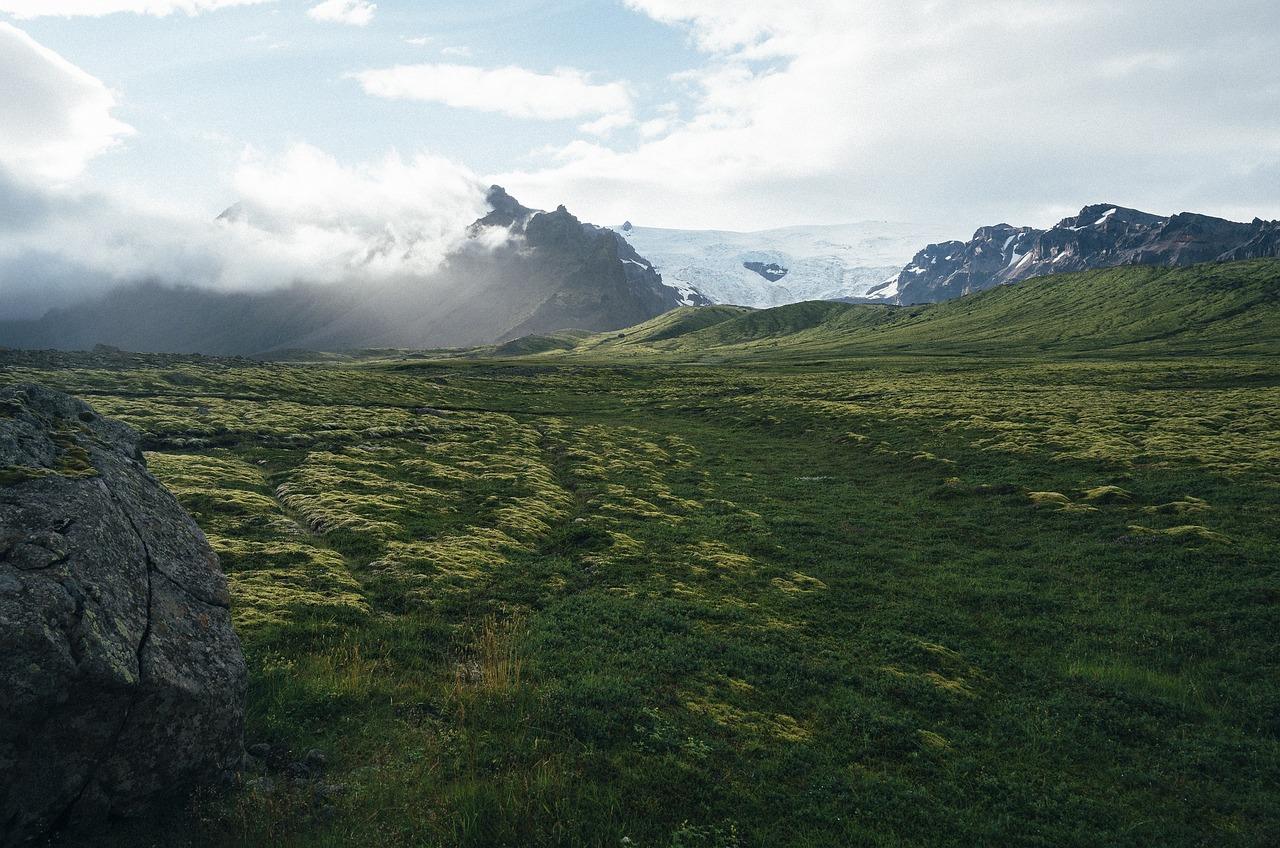 Islandsk værk Krydsord