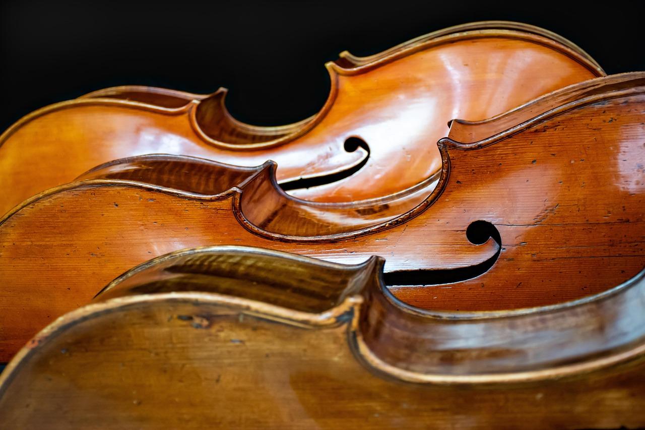 Strengeinstrument Krydsord