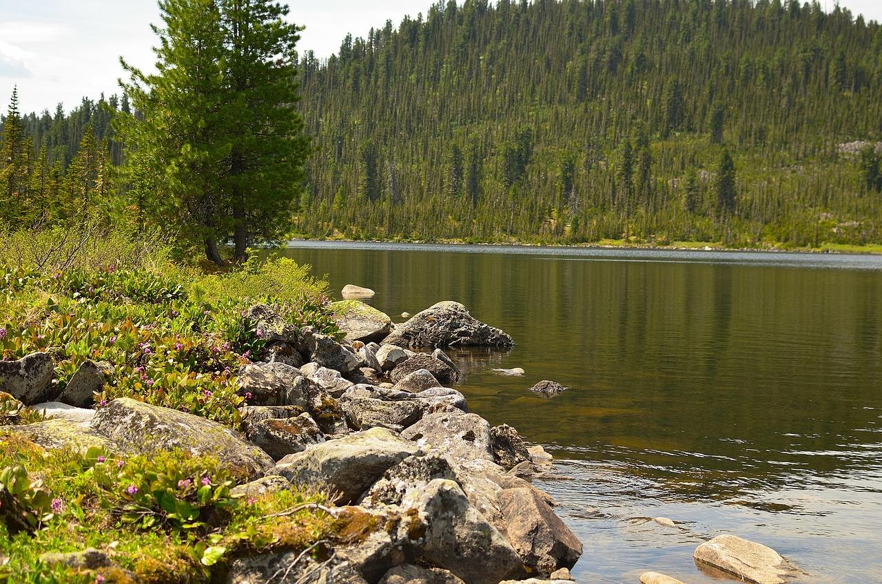 Flod i sibirien Krydsord