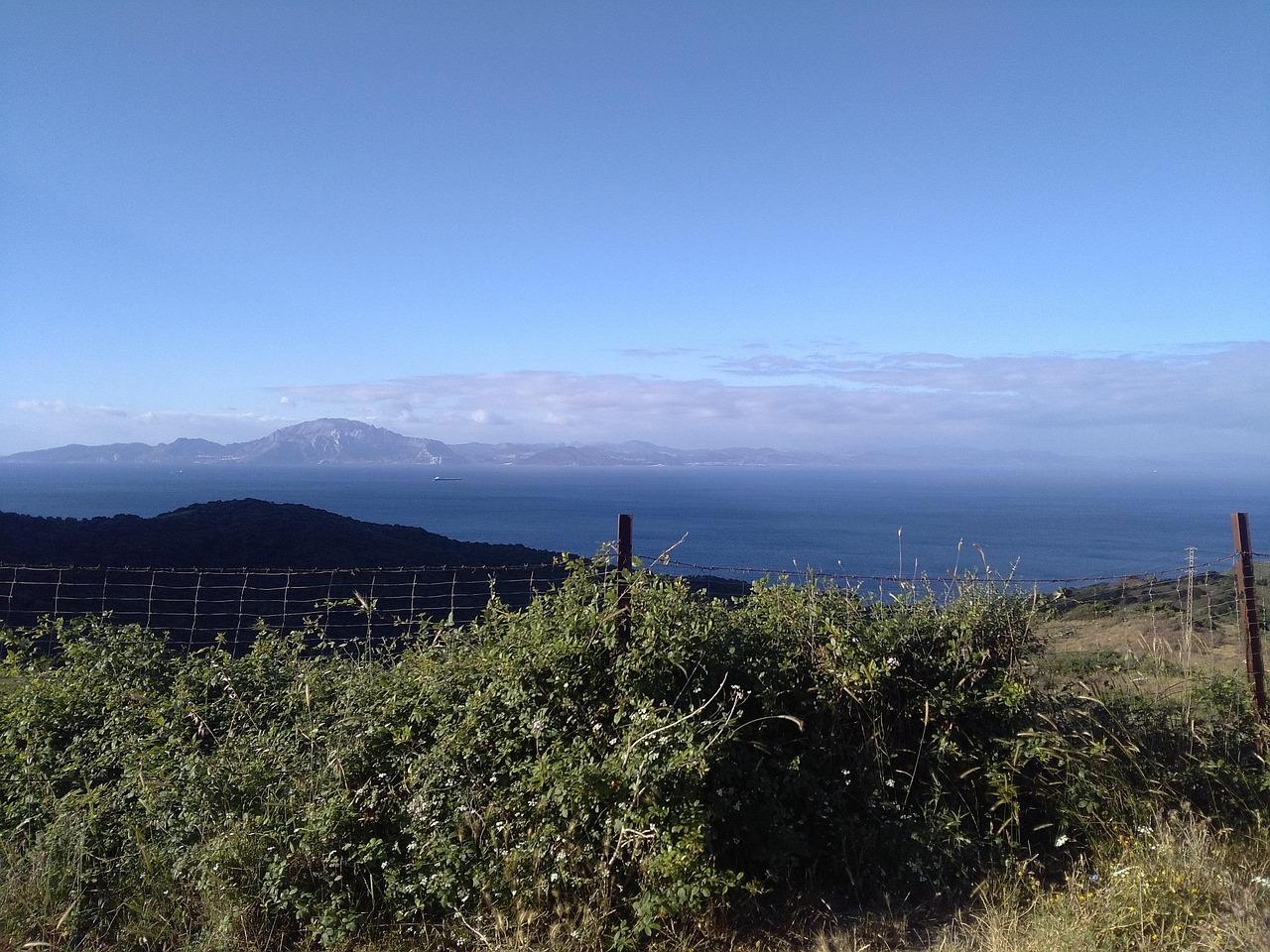 Fortræffelig Krydsord