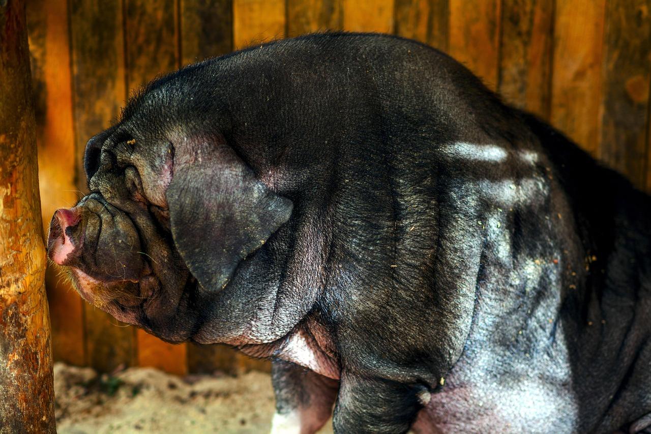 Nullermænd Krydsord