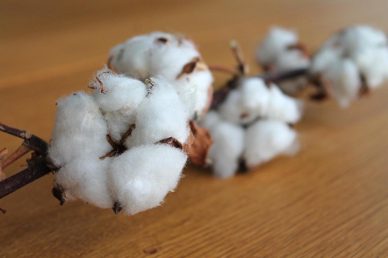 Fiber Krydsord