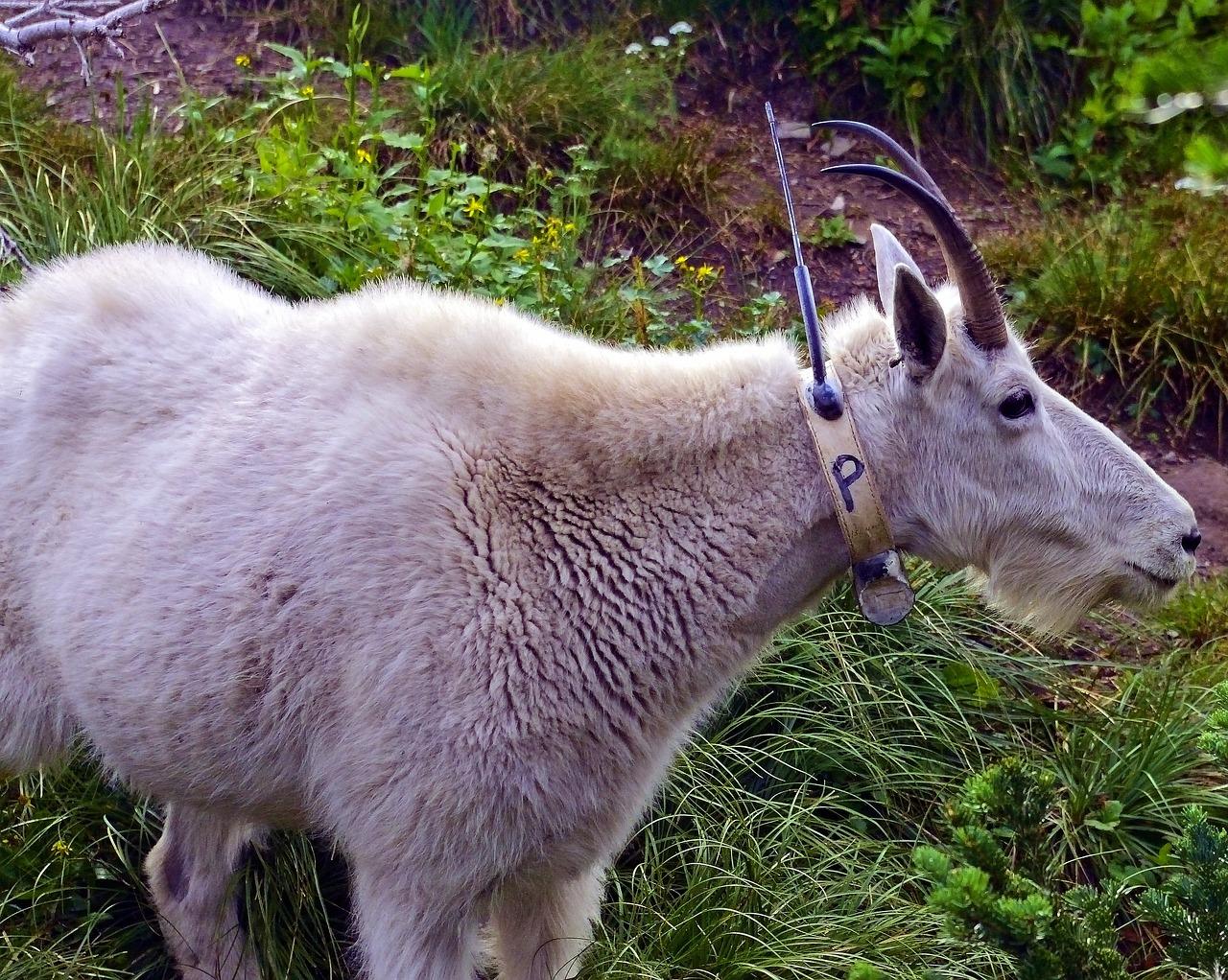 MÃ¦rkede Krydsord