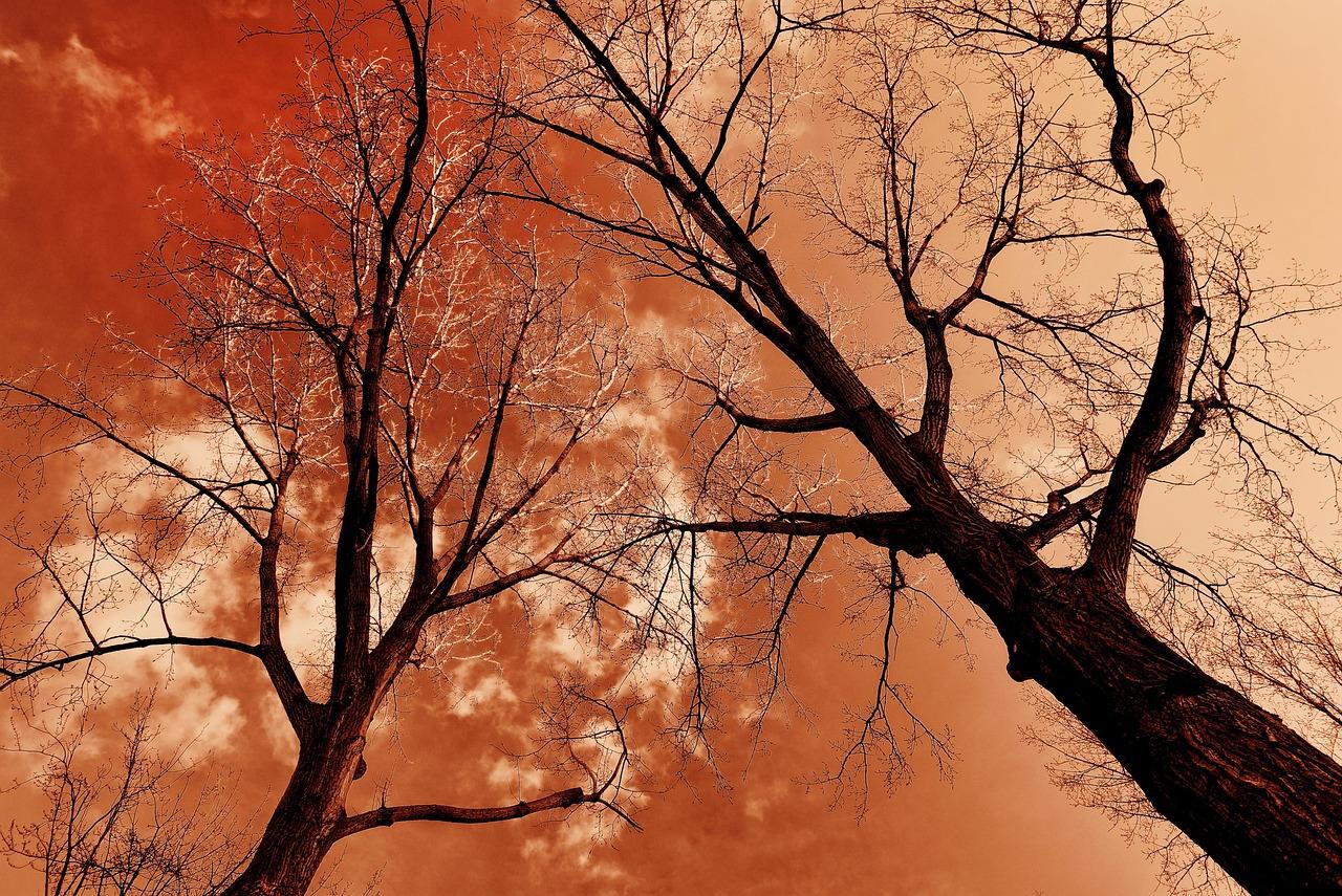 Himmelstrøg Krydsord