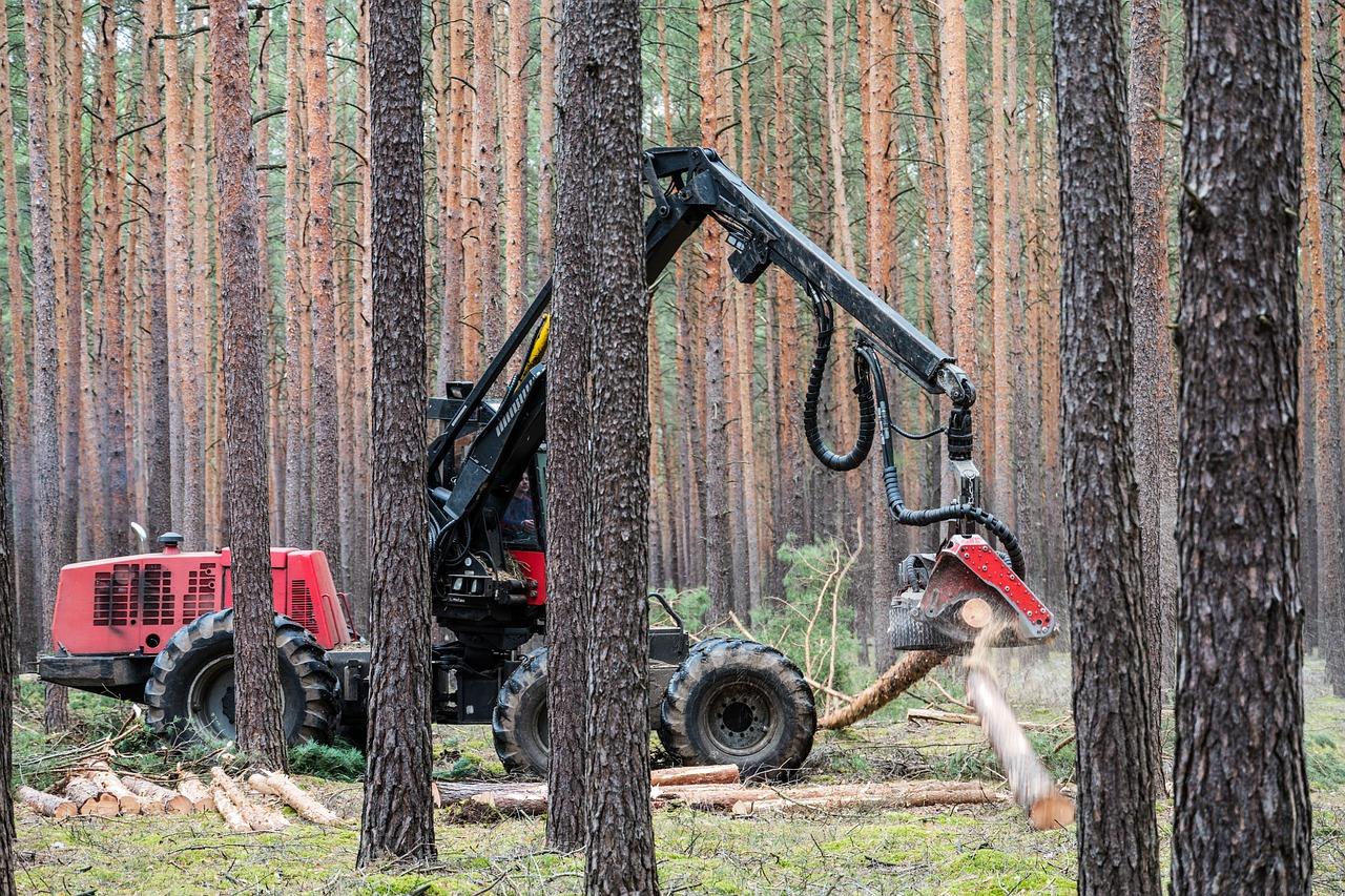 Energikilde Krydsord