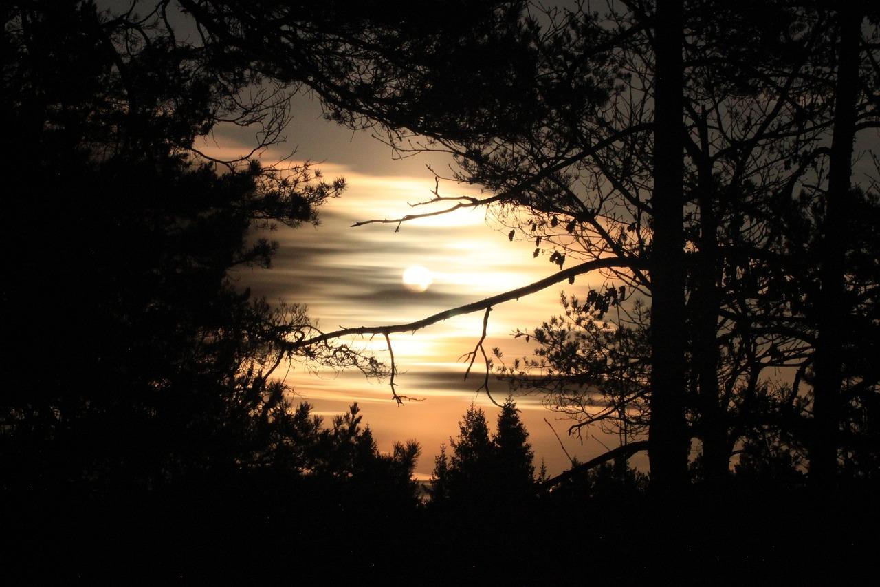 Birkeland Krydsord