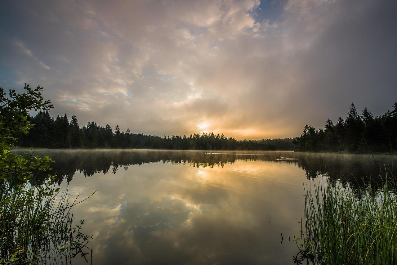 Efterlignede Krydsord